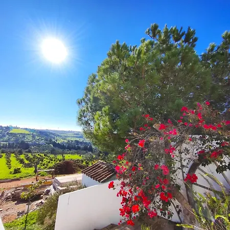 Hight Point Nature 1 By Homing Λάγος